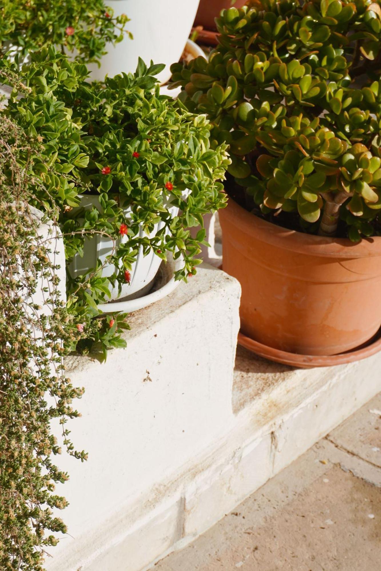 Casa Con Terrazza Villa Polignano a Mare Exterior photo